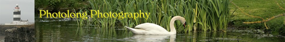 Photography Blog