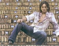 Wallpapers de David Bisbal