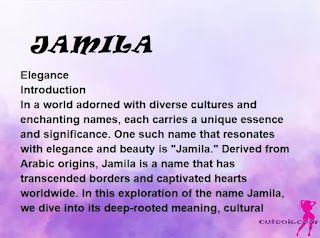 meaning of the name "JAMILA"