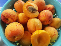 Lung cancer treatment vitamin b17, apricot kernels