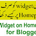 How to Show any Widget on Homepage only for Blogger