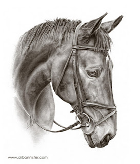 dibujos-realistas-en-carboncillo-de-caballos caballos-dibujos-carboncillo