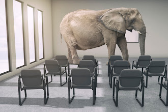 Elephant in the Room: Instruction in Higher Education