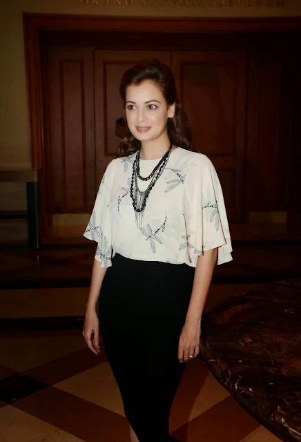 Dia Mirza Looks Smoking Hot At The 16th IIFA Awards 2015