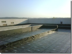 IMG00754-20111021-0913
