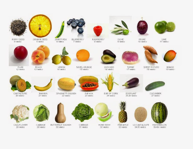 Fruits And Vegetables Traveling In English World