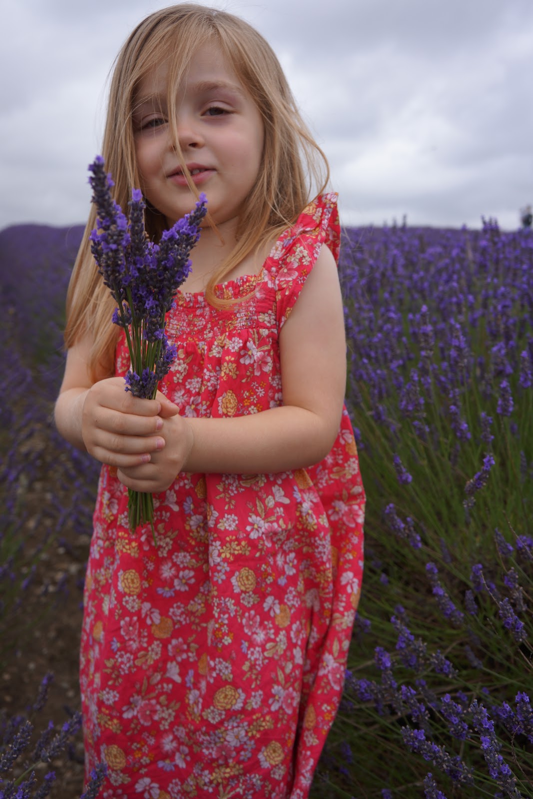 Some top tips for visiting lavender fields: Little girl holding a lavender bouquet
