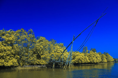 Jaring yang sudah tidak dipakai di kawasan mangrove Batu Karas