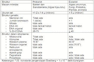 SEL DAN STRUKTURNYA  IR.RAHMAWATI, MP