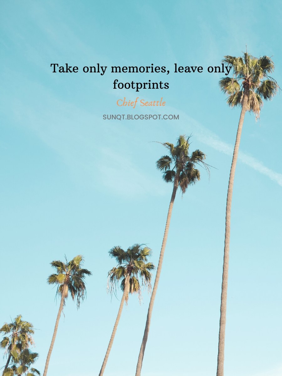 Take only memories, leave only footprints ― Chief Seattle