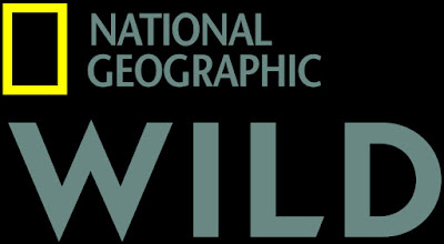 Nat geo wild frequency hellas sat 3