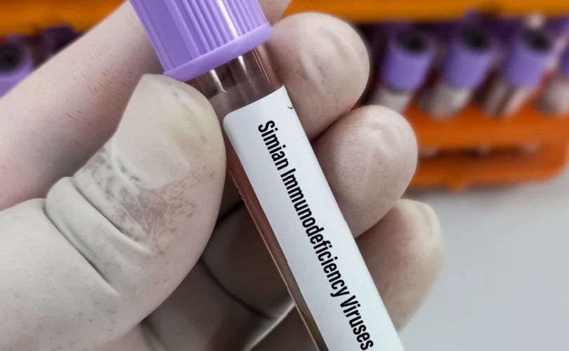 Saúde do Canadá confirma sequência de DNA do vírus Simian 40 ligada ao câncer encontrada na vacina da Pfizer COVID