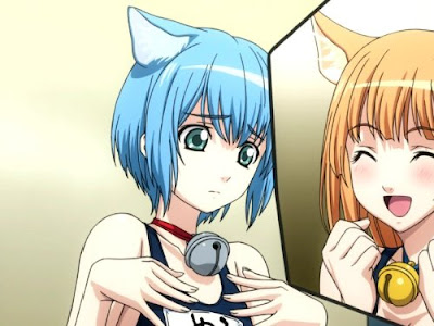 Cat Planet Cuties Series Image 1