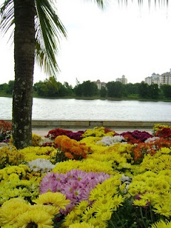 View of Putrajaya Lake with chrysanthemum beds in the foreground