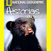 Nat Geo Historias de Bebes Documental Animales Salvajes Referencia SKU: 729