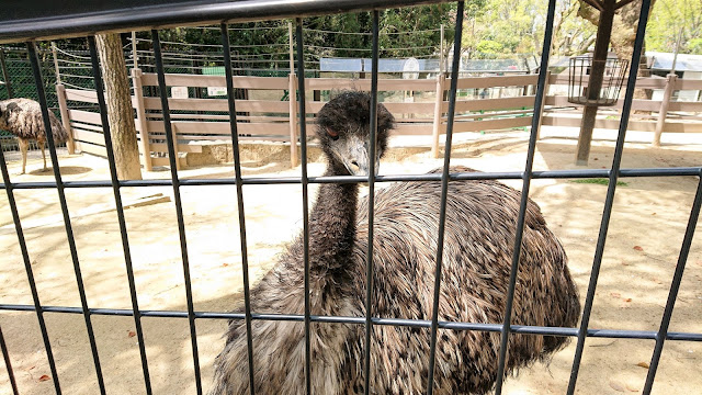 大阪府池田市 五月山動物園