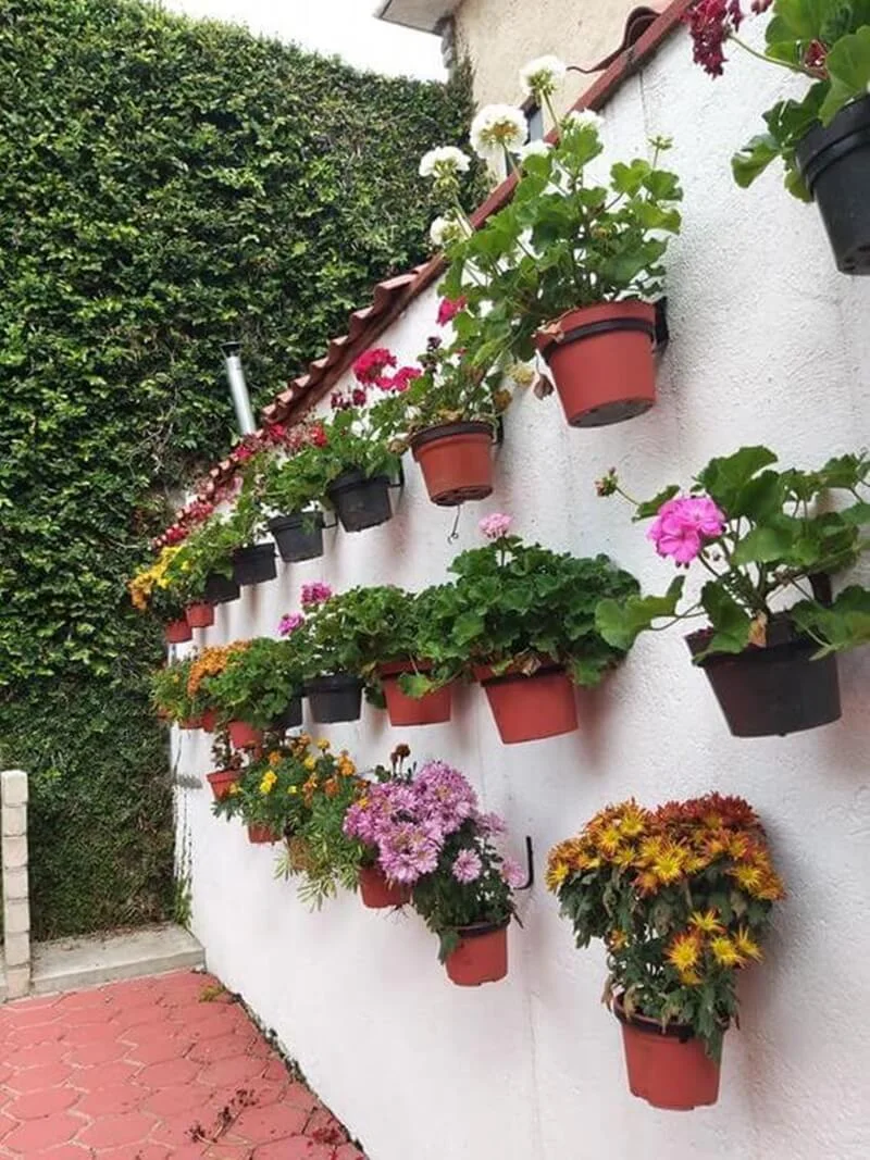 Jardim Vertical: Como criar um jardim de parede na sua casa