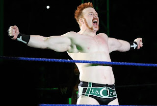 Sheamus vs Alberto Del Rio Money in the Bank 