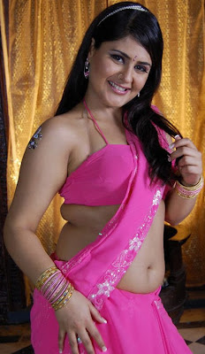 Farzana Hot Navel Show in Rose Saree Photos