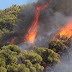 Φωτιές σε Δαφνούλα, Ολύμπια και Γούμερο