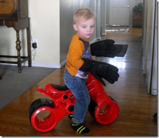 Motorcyle   Papa Gloves