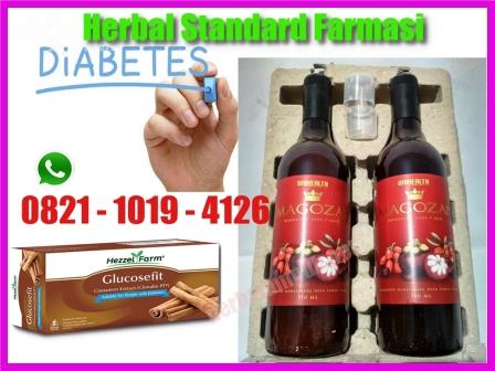 Herbal Diabetes Paling Ampuh yang Baik untuk Terapi Diabetes