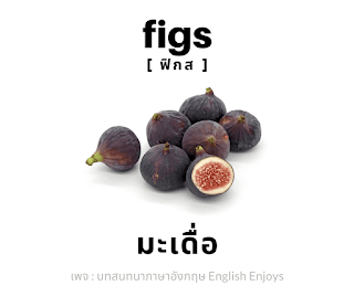 figs - มะเดื่อ