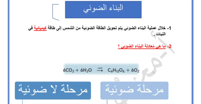 ملخص البناء الضوئي أحياء صف عاشر فصل أول