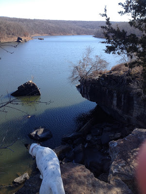 Lincoln Lake, Lincoln Arkansas