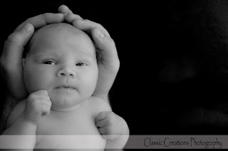 classic creations newborn portrait