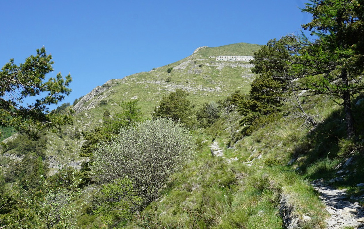 Refuge Grai seen from trail from Colla Melosa