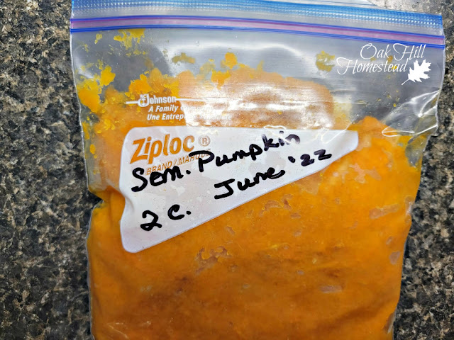 A zip-top freezer bag of pumpkin puree.