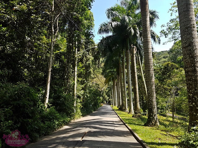 Parque para ir com crianças no Rio