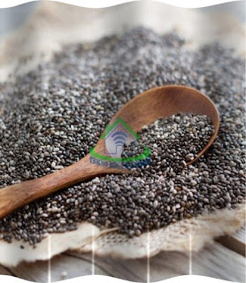 jual chia seed harga chia seed biji cia seed distributor chia seed cara minum chia seed untuk kurus manfaat chia seed untuk promil cara mengkonsumsi chia seed harga chia seed di superindo tanaman chia seed bahaya chia seed pohon chia seed chia seed dan selasih samakah jual chia seed harga chia seed biji cia seed distributor chia seed cara minum chia seed untuk kurus manfaat chia seed untuk promil cara mengkonsumsi chia seed harga chia seed di superindo tanaman chia seed bahaya chia seed pohon chia seed chia seed dan selasih samakah