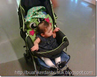 IMG00836-20110626-1839