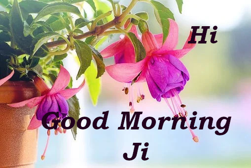 Good Morning Ji