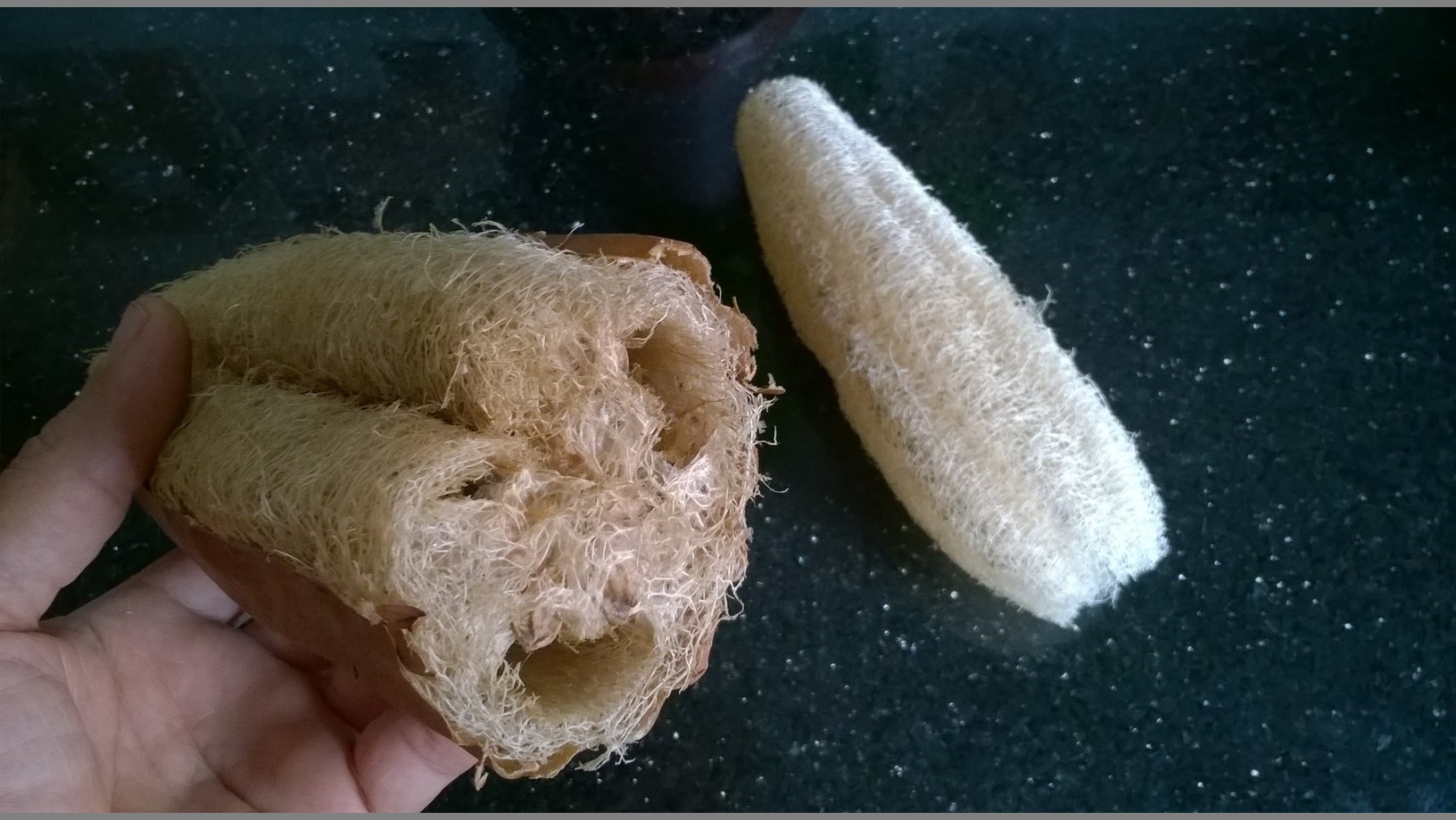 Luffa sponges are great for washing and cleaning almost everything, including cars, plastic buckets, and anything that needs scrubbed .