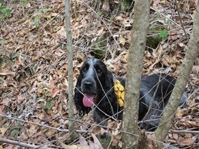 Trekking 12 (80_1) (9)