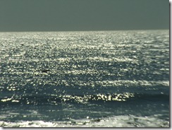 DSCF0465