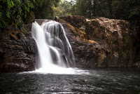 Sinharaja Rain Forest | Deniyaya, Sri Lanka