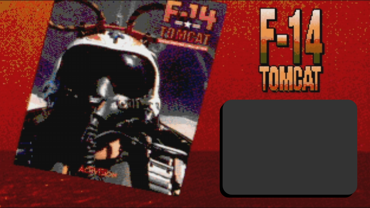 F-14 Tomcat for MSDOS (Activision 1989)