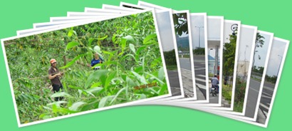View album