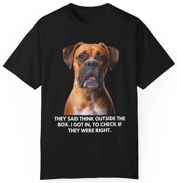 Unisex Comfort Colors T-Shirt With Boxer Dog and Caption They Said Think Outside the Box. I Got in, To Check If They Were Right