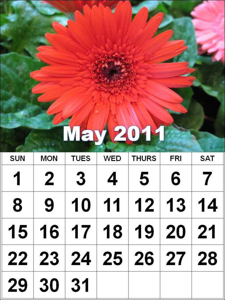 may calendar 2011 with holidays. may calendar 2011 with