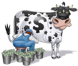 cow name, cow milk, cow produce milk, cow money, cow cartoon, happy cows, cute cows, big fat cow, w & co, cow jokes, cows feet, cow video