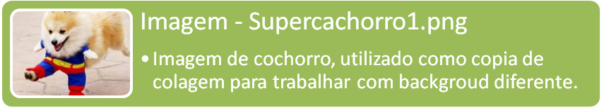  Supercachorro1