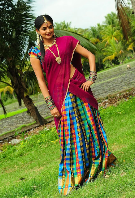 Actress Priyamani Half Saree Photos