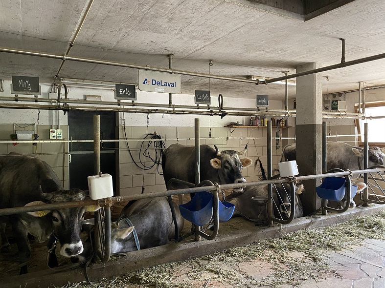 La fattoria dell'agriturismo El Mas