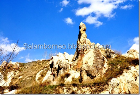 DSC_0796_Fotor