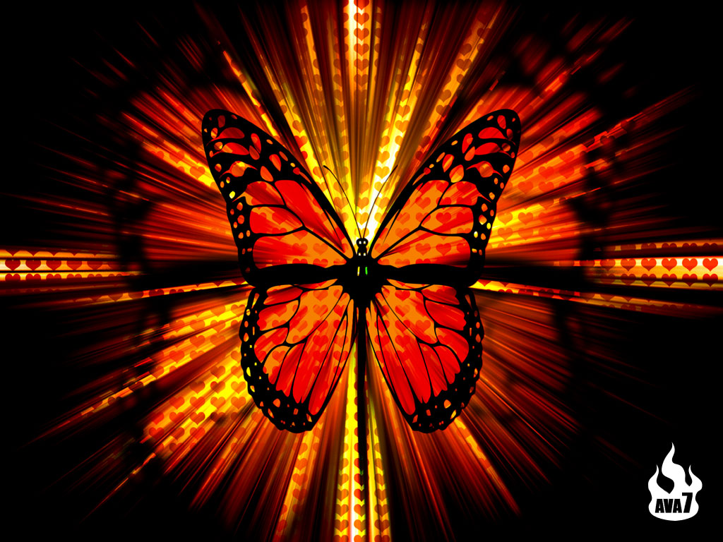 Butterfly-wallpaper-butterflies-604274_1024_768.jpg